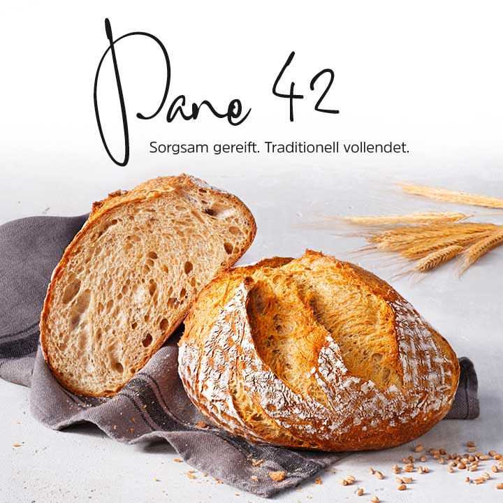 Pane 42 von Ulmer Spatz