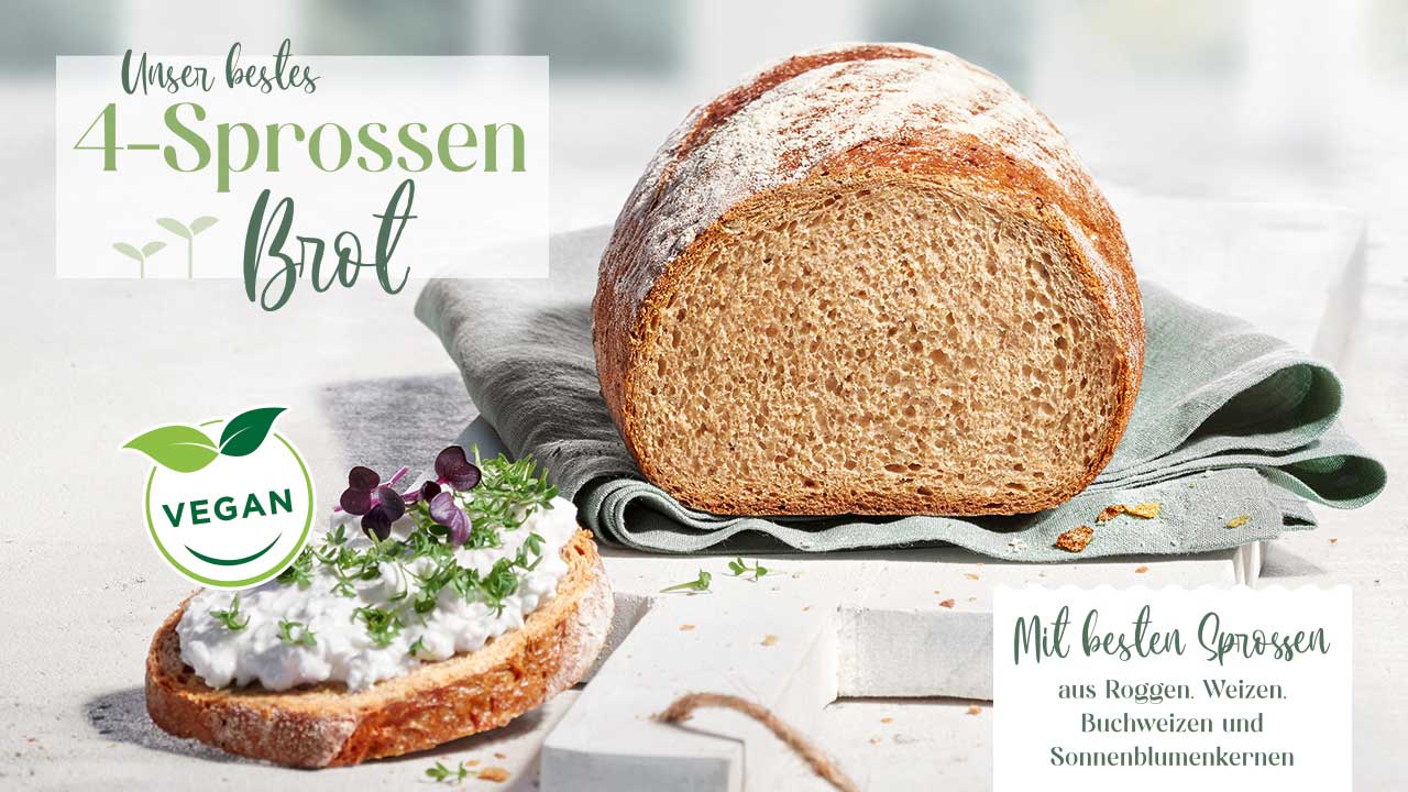 4-Sprossen Vitalmix
