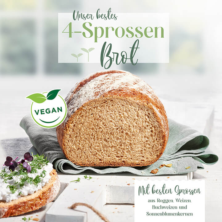 4-Sprossen Vitalmix