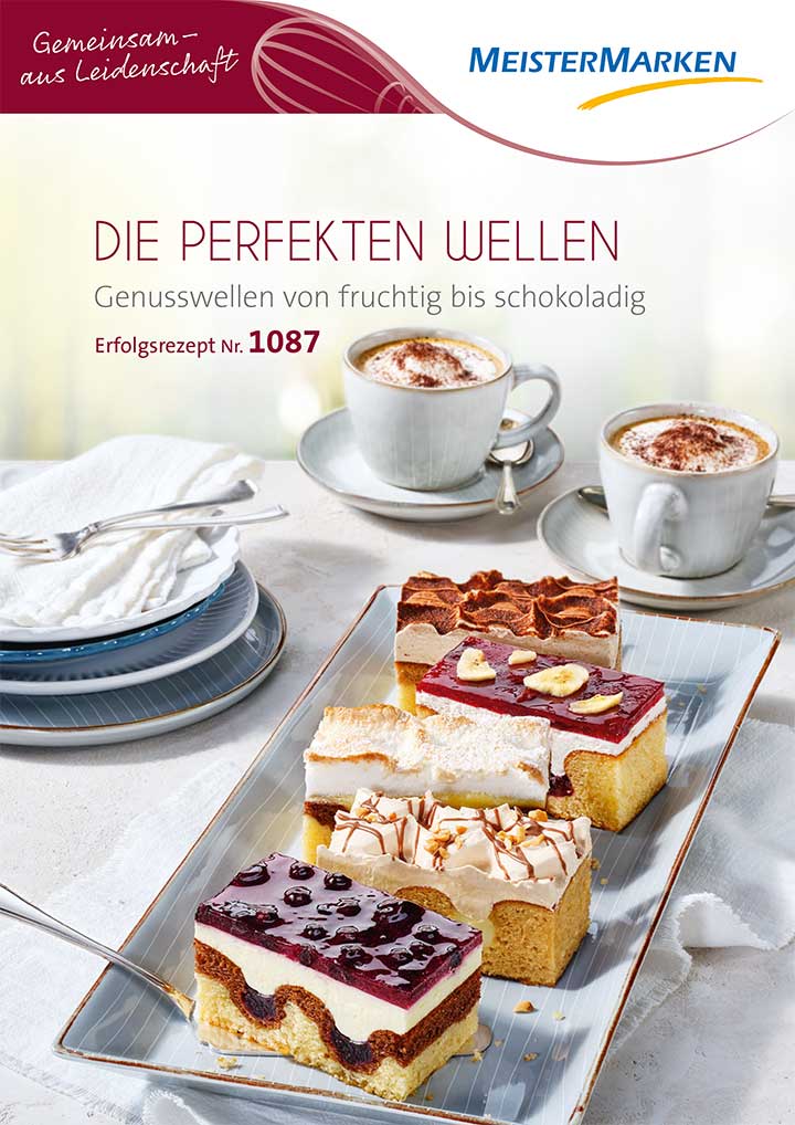 Erfolgsrezept – Die perfekte Welle (PDF)