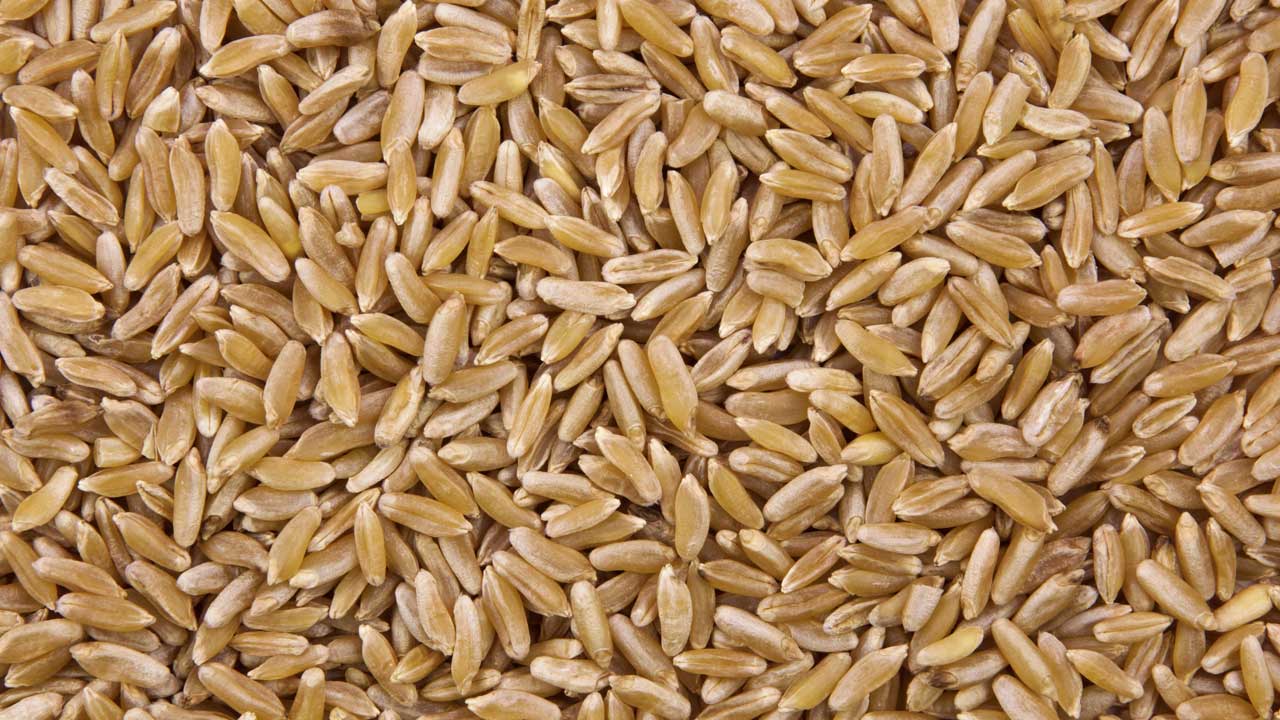 Körner