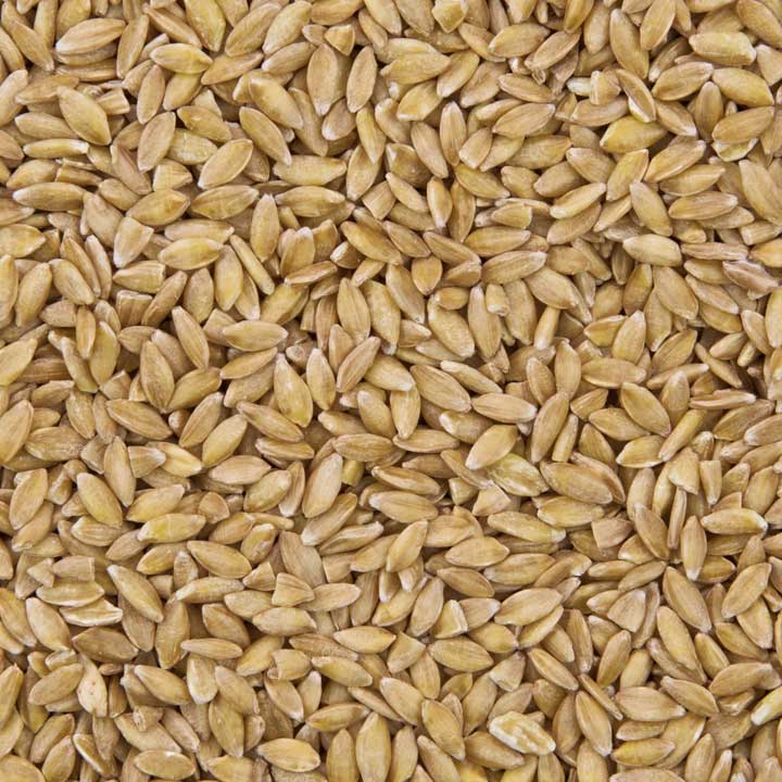 Körner